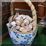 D38. Basket of shells.
